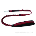 Dog Bungee Leash Material Lights Personalized Padded Feather